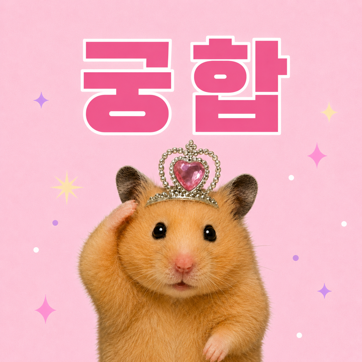 궁합